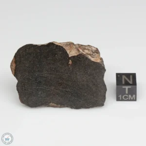 NWA 6947 Meteorite 55.7g End Cut