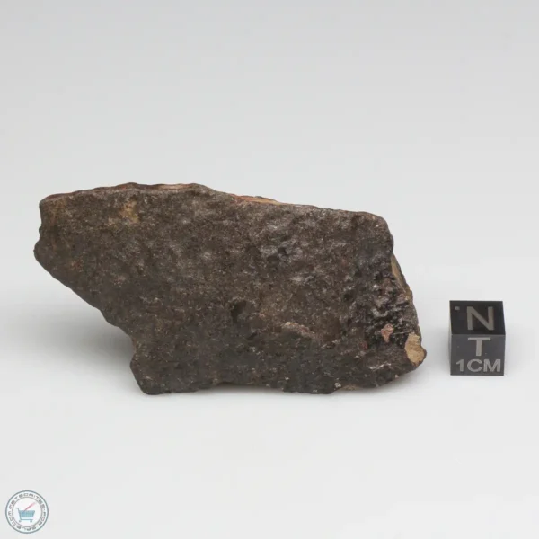 NWA 6947 Meteorite 98.2g End Cut