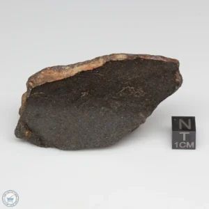 NWA 6947 Meteorite 98.2g End Cut