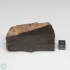 NWA 6947 Meteorite 114.6g End Cut