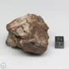 NWA 6947 Meteorite 127.4g End Cut