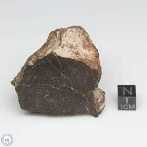 NWA 6947 Meteorite 127.4g End Cut