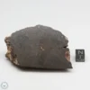 NWA 6947 Meteorite 129.8g End Cut