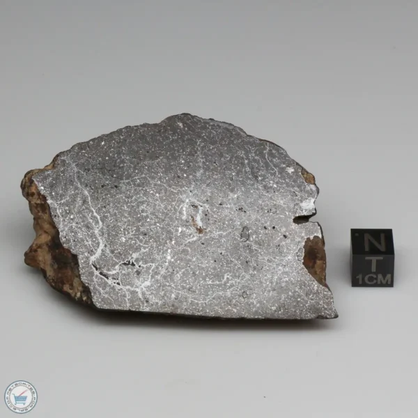 NWA 6947 Meteorite 129.8g End Cut