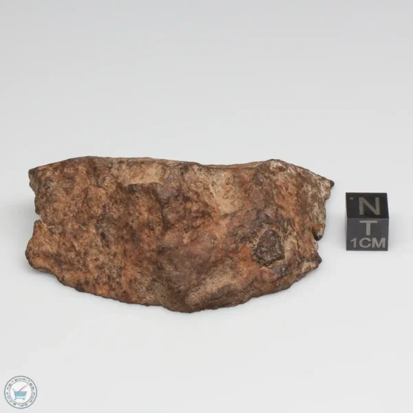 NWA 6947 Meteorite 129.8g End Cut