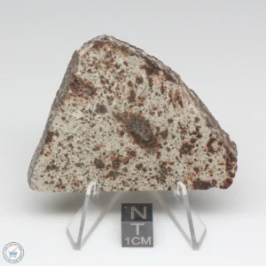 NWA 791 Meteorite 58.1g