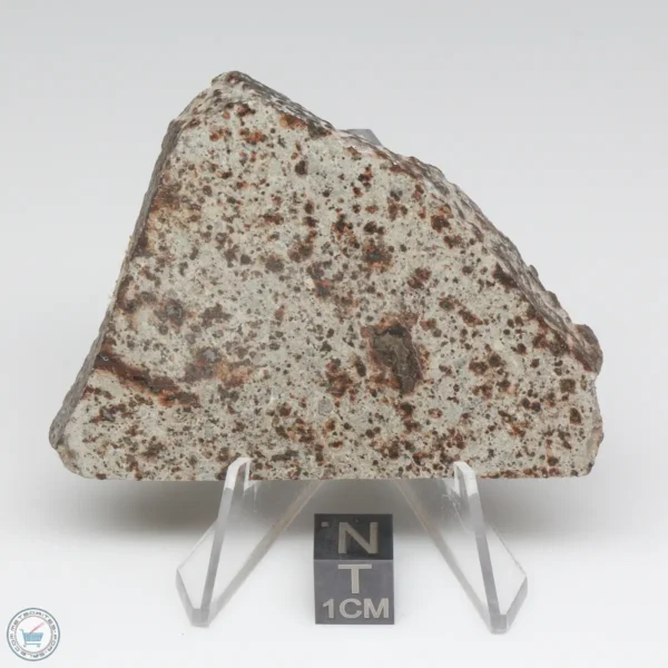 NWA 791 Meteorite 65.7g