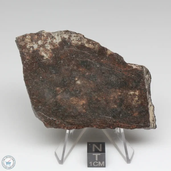 NWA 791 Meteorite 102.7g