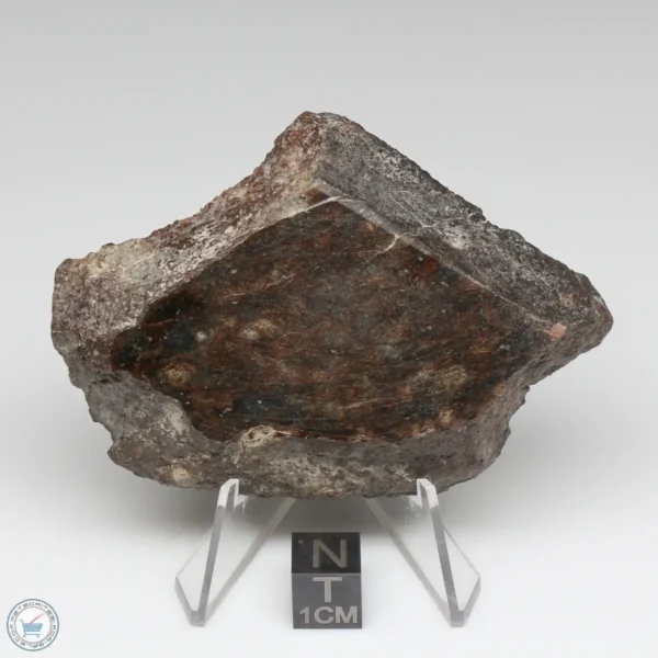 NWA 791 Meteorite 104.8g