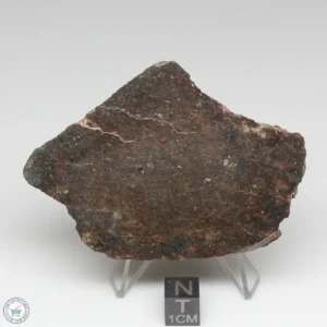 NWA 791 Meteorite 104.8g