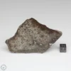 NWA 791 Meteorite 127.4g