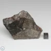 NWA 791 Meteorite 127.4g