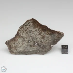 NWA 791 Meteorite 127.4g