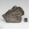 NWA 791 Meteorite 169.9g