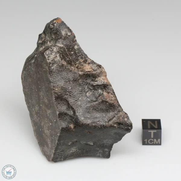 NWA 791 Meteorite 169.9g