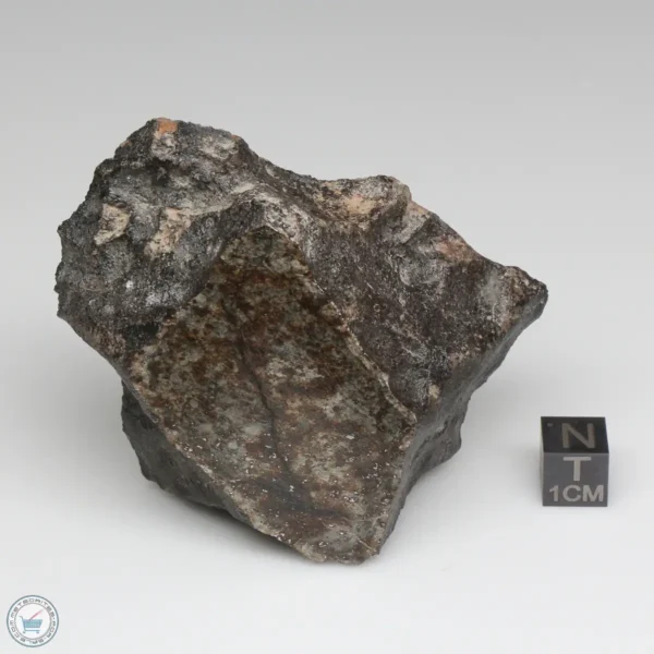 NWA 791 Meteorite 169.9g