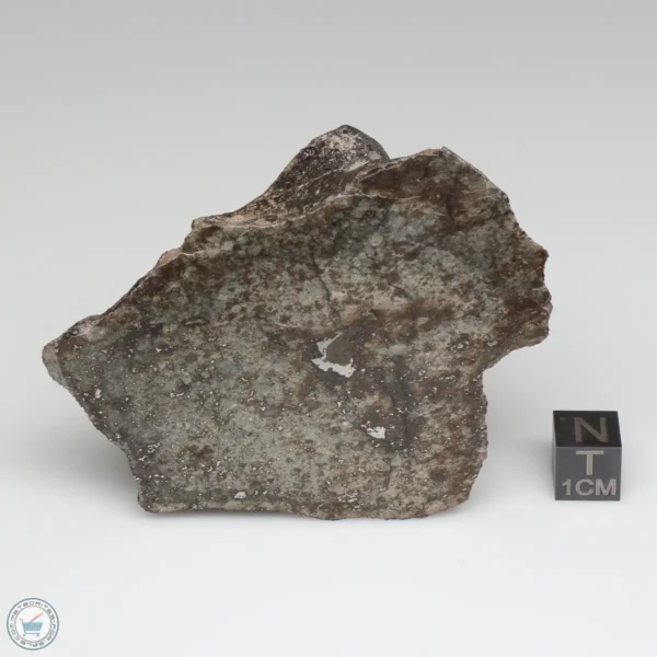 NWA 791 Meteorite 169.9g