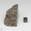 NWA 791 Meteorite 145.8g