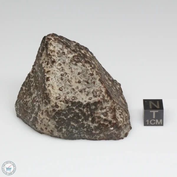 NWA 791 Meteorite 145.8g