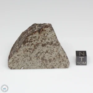 NWA 791 Meteorite 145.8g