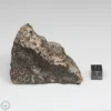 NWA 791 Meteorite 148.9g