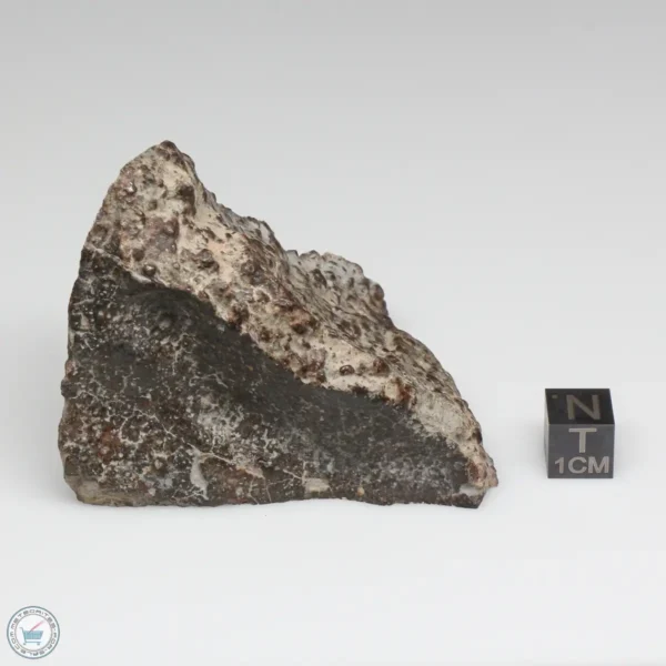 NWA 791 Meteorite 148.9g