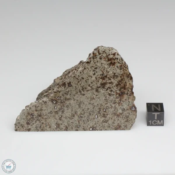 NWA 791 Meteorite 148.9g