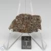 NWA 8384 Meteorite 6.1g