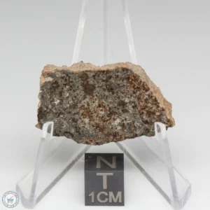 NWA 8384 Meteorite 8.1g