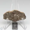 NWA 8384 Meteorite 9.5g