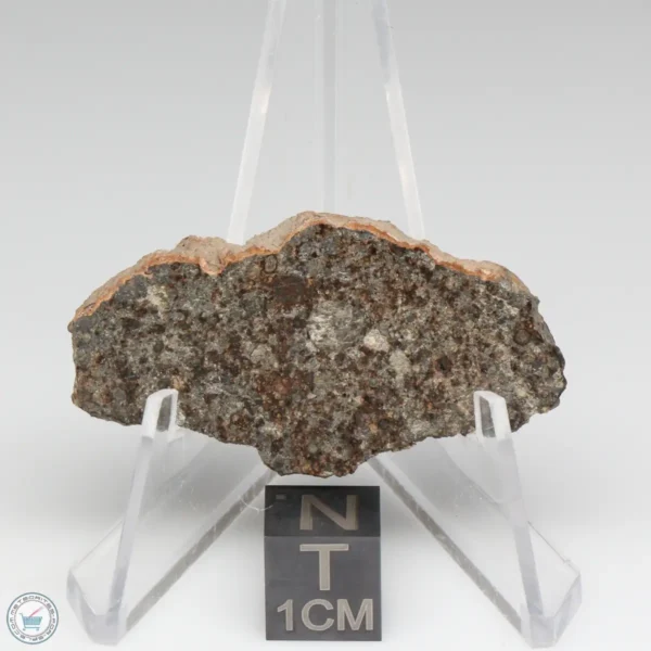 NWA 8384 Meteorite 9.5g