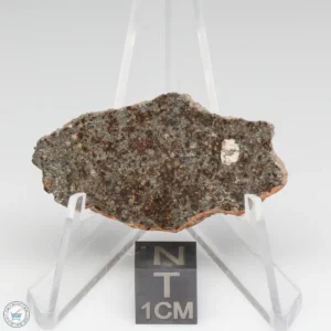 NWA 8384 Meteorite 8.8g