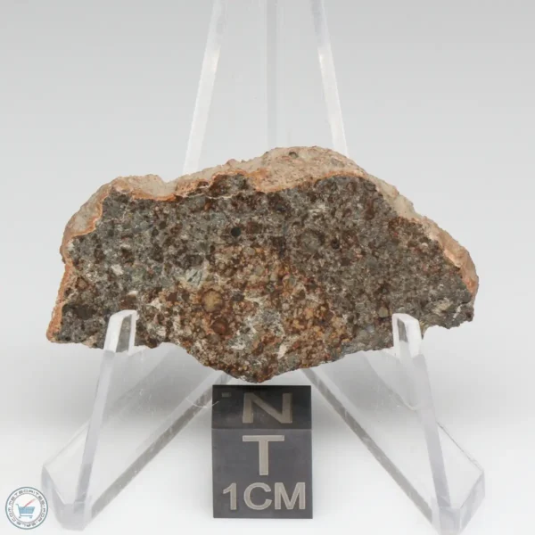 NWA 8384 Meteorite 8.2g