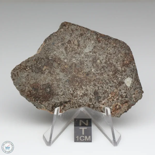 NWA 8384 Meteorite 31.7g