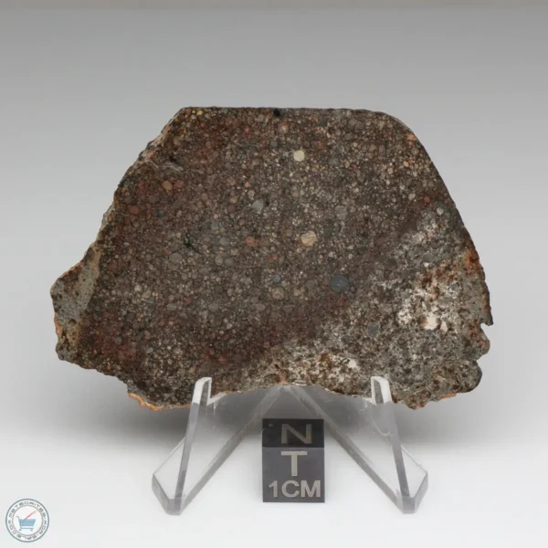 NWA 8384 Meteorite 38.6g