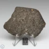 NWA 8384 Meteorite 32.7g