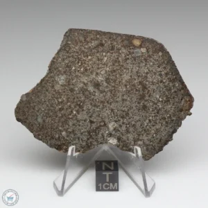 NWA 8384 Meteorite 32.7g