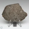 NWA 8384 Meteorite 42.9g