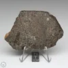 NWA 8384 Meteorite 46.2g