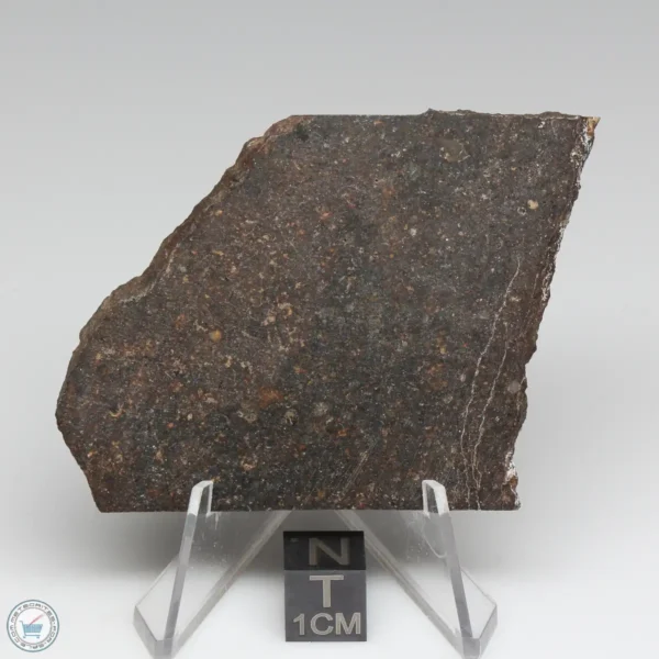 Dhofar 1289 Meteorite 28.3g