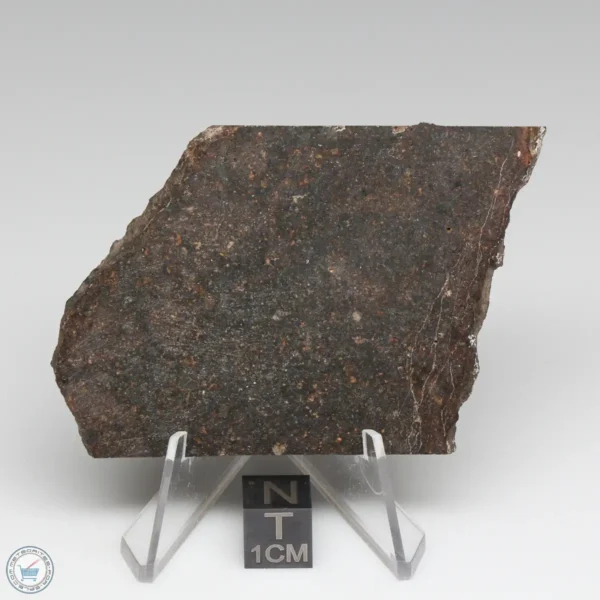 Dhofar 1289 Meteorite 31.7g