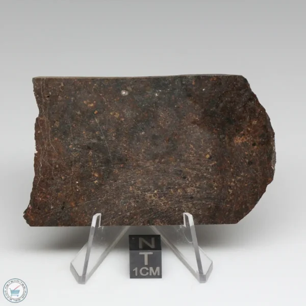 Dhofar 1289 Meteorite 48.7g