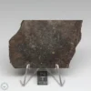 Dhofar 1289 Meteorite 41.7g