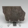 Dhofar 1289 Meteorite 39.4g