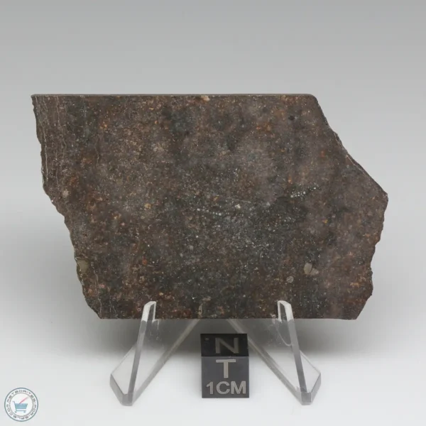 Dhofar 1289 Meteorite 39.4g