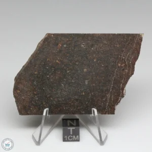 Dhofar 1289 Meteorite 44.4g