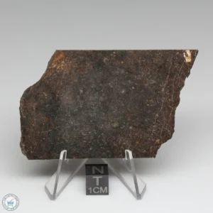 Dhofar 1289 Meteorite 47.2g