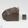 Dhofar 1289 Meteorite 39.9g