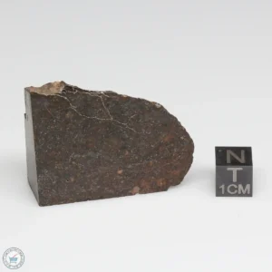 Dhofar 1289 Meteorite 39.9g