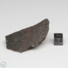 Dhofar 1289 Meteorite 40.3g